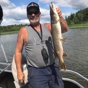 Meet your Posher, Ron